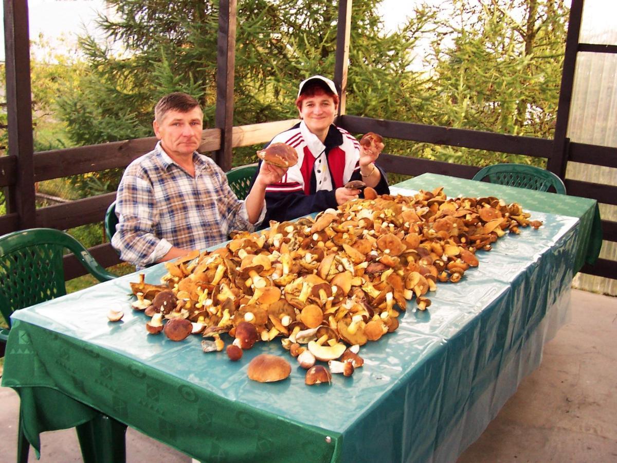 Biebrza24 - Agroturystyka Sztabin Esterno foto