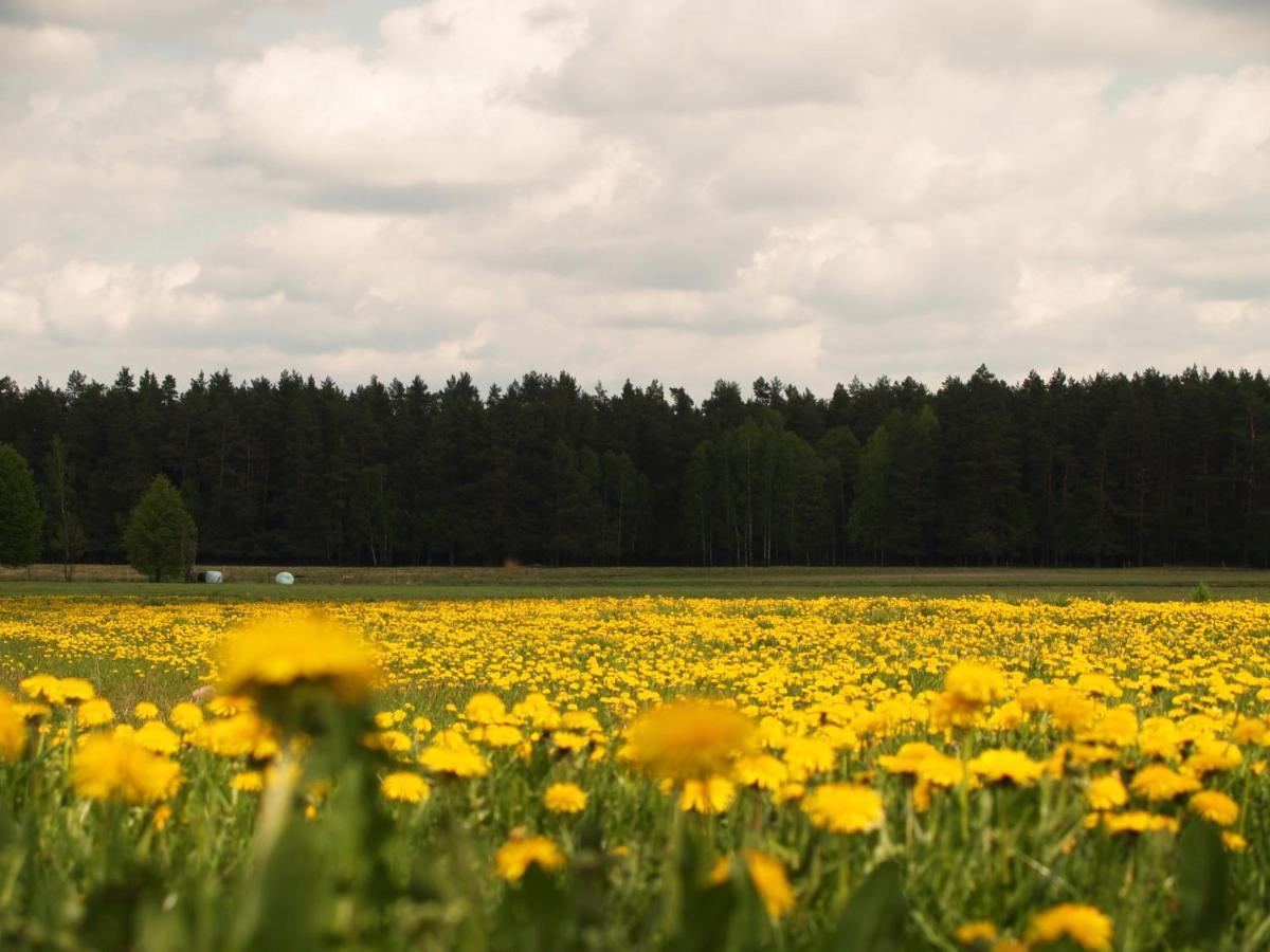 Biebrza24 - Agroturystyka Sztabin Esterno foto