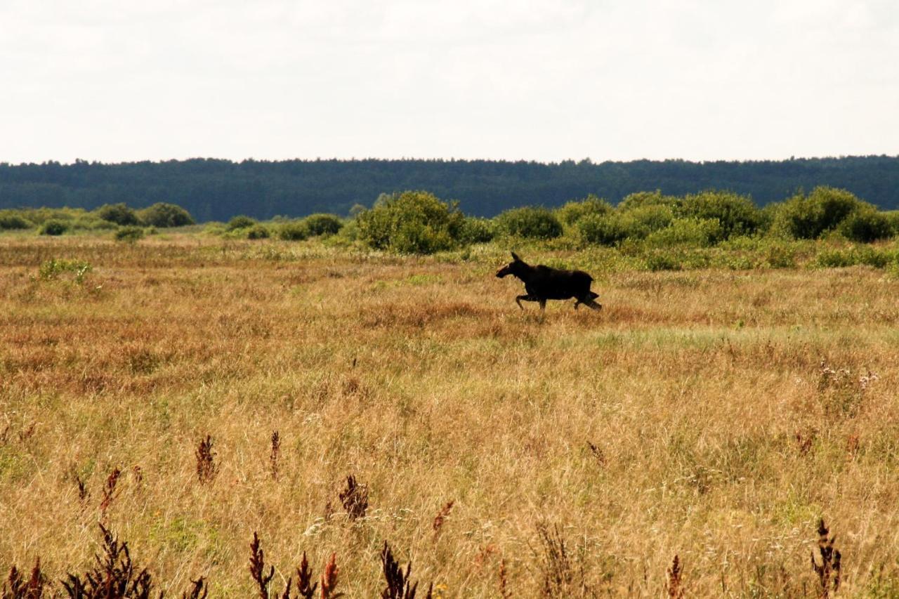 Biebrza24 - Agroturystyka Sztabin Esterno foto