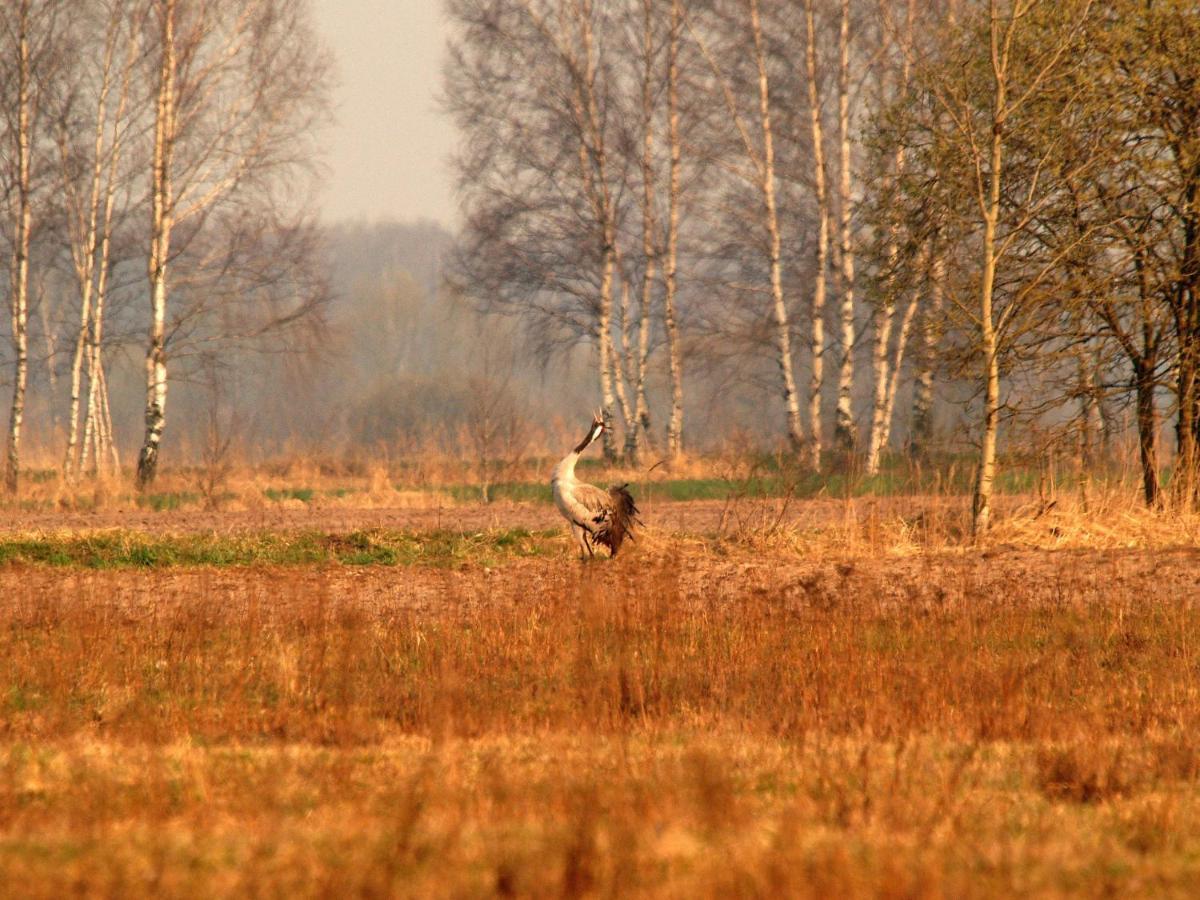 Biebrza24 - Agroturystyka Sztabin Esterno foto